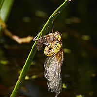 2025-07-27 17-26-27 113055000543