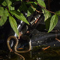 2025-08-17 17-20-36 113055000543 1