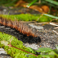 2025-10-03 11-04-18 113055000543