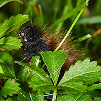 2025-10-03 11-06-32 113055000543