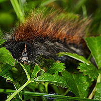 2025-10-03 11-06-55 113055000543