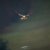 2025-12-21 15-43-30 113055000543