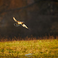 2025-12-21 15-43-41 113055000543 1