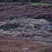 2025-12-21 16-30-30 113055000543