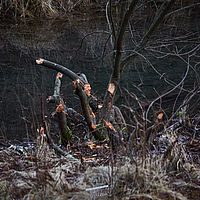 2025-12-21 16-34-53 113055000543