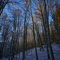 2025-12-30 09-23-33 113055000543