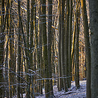 2025-12-30 09-24-14 113055000543