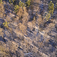 2025-12-30 10-02-51 0K8TG1A0020296