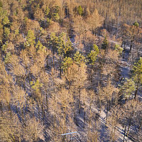 2025-12-30 10-03-09 0K8TG1A0020296