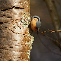 2025-12-30 10-18-32 113055000543