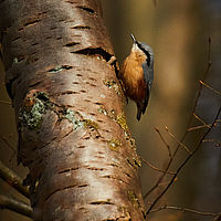 2025-12-30 10-19-19 113055000543