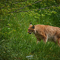 2025-04-21 13-26-38 113055000543