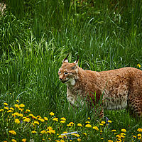 2025-04-21 13-28-29 113055000543