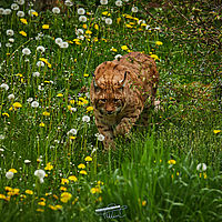 2025-04-21 13-31-15 113055000543 2