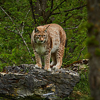 2025-04-21 13-31-49 113055000543 2