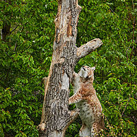 2025-04-21 13-32-32 113055000543