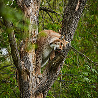 2025-04-21 13-32-44 113055000543 1