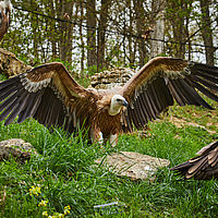 2025-04-21 13-38-40 113055000543 1