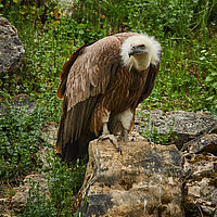 2025-04-21 13-39-31 113055000543