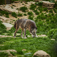 2025-04-21 13-52-54 113055000543 1