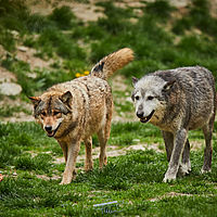 2025-04-21 13-53-28 113055000543 1