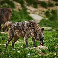 2025-04-21 13-55-16 113055000543