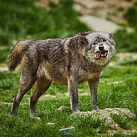 2025-04-21 13-55-21 113055000543