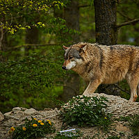 2025-04-21 13-55-57 113055000543