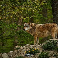 2025-04-21 13-56-07 113055000543 1