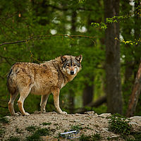 2025-04-21 13-57-42 113055000543 1