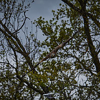 2025-04-21 14-01-44 113055000543