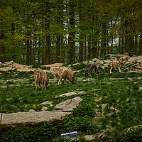 2025-04-21 14-02-41 113055000543