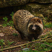 2025-04-21 14-03-56 113055000543 1