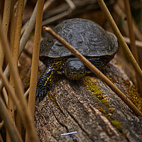 2025-04-21 14-31-58 113055000543