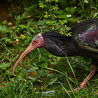 2025-04-21 14-39-29 113055000543 1