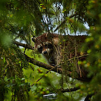 2025-04-21 14-44-30 113055000543 1