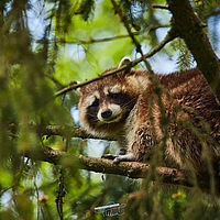 2025-04-21 14-45-05 113055000543 2