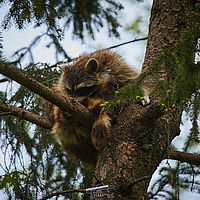 2025-04-21 14-51-46 113055000543 1