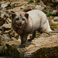 2025-04-21 14-53-39 113055000543 1