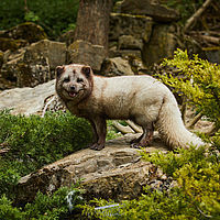 2025-04-21 15-00-41 113055000543 1