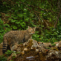 2025-04-21 15-04-09 113055000543