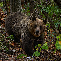 2025-09-09 14-02-43 113055000543