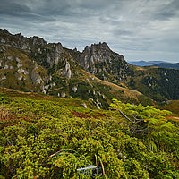 2025-09-11 12-24-30 113055000543