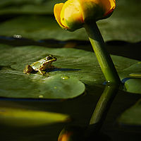 2025-09-15 09-22-55 113055000543