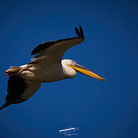 2025-09-15 10-33-41 113055000543 1