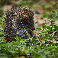 2025-09-18 16-42-36 113055000543