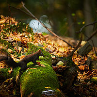 2025-09-05 08-52-50 113055000543