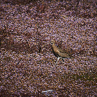 2025-09-21 12-13-41 113055000543