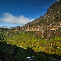 2025-09-03 10-48-27 113055000543