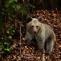 2025-09-09 14-35-39 113055000543